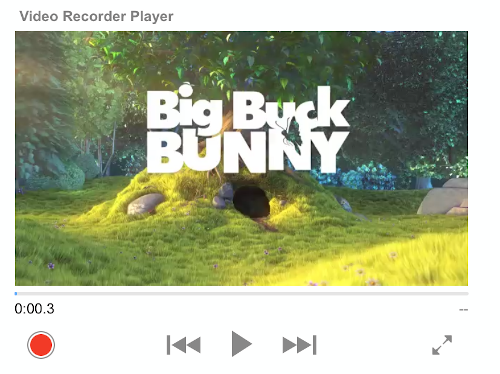 Video Recorder Player
